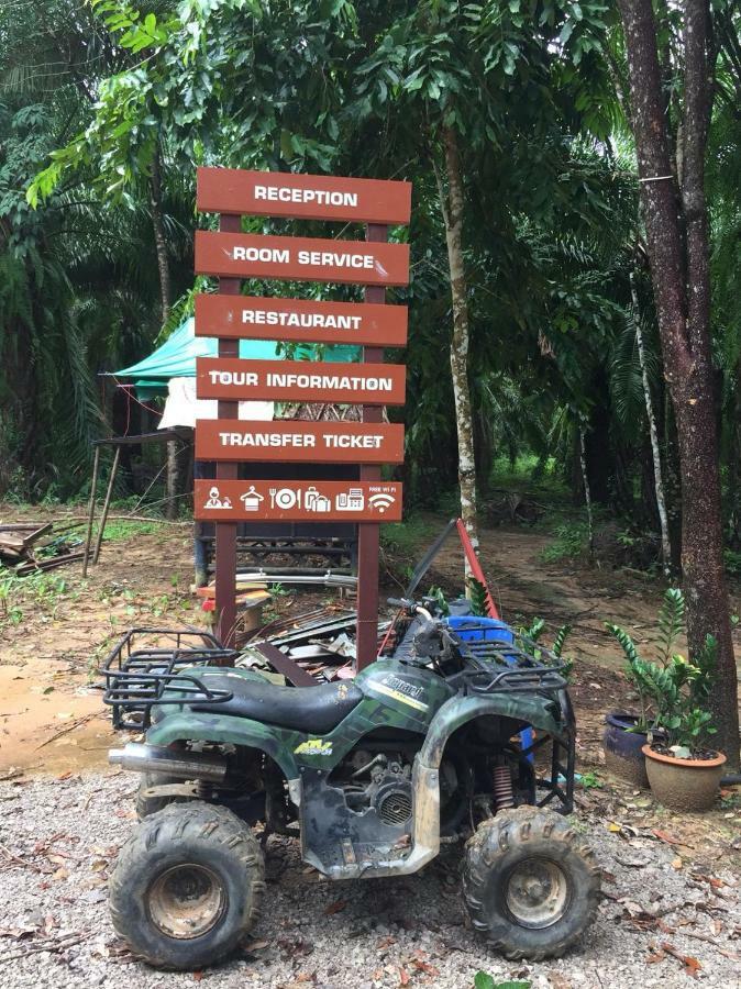 เขาสก เอเวอร์กรีน เฮ้าส์ Hotel Khao Sok National Park ภายนอก รูปภาพ