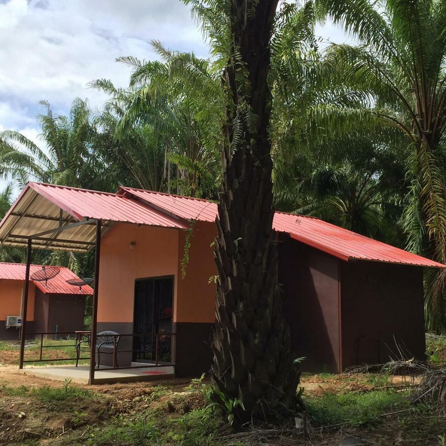 เขาสก เอเวอร์กรีน เฮ้าส์ Hotel Khao Sok National Park ภายนอก รูปภาพ