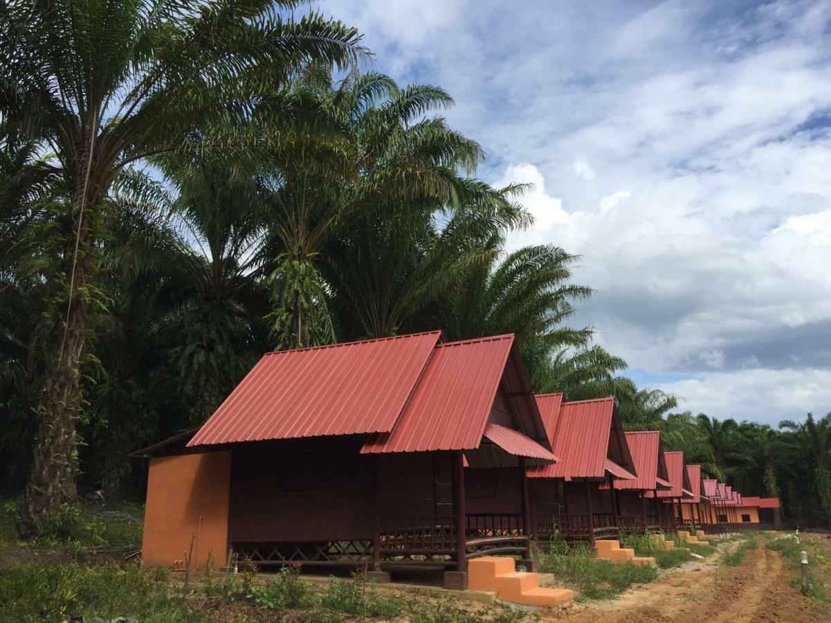 เขาสก เอเวอร์กรีน เฮ้าส์ Hotel Khao Sok National Park ภายนอก รูปภาพ