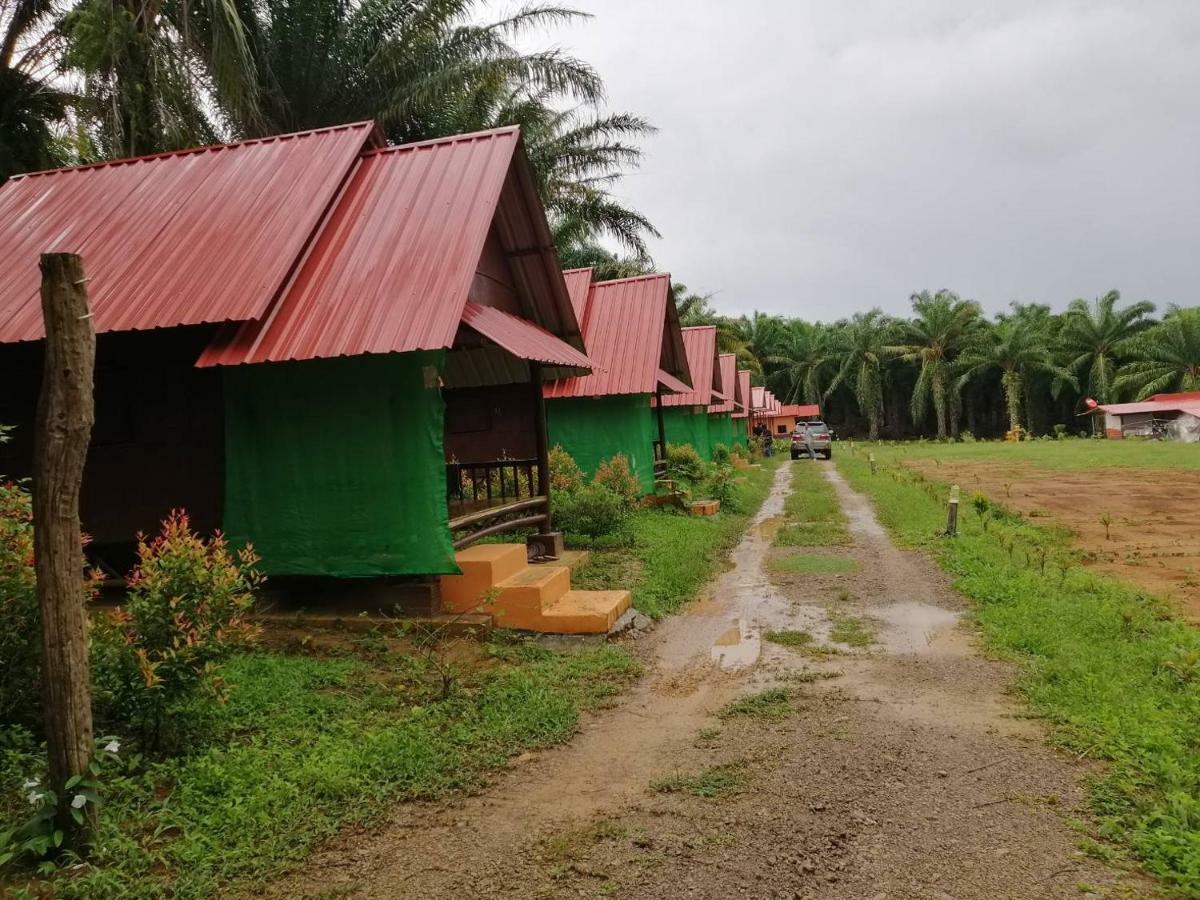 เขาสก เอเวอร์กรีน เฮ้าส์ Hotel Khao Sok National Park ภายนอก รูปภาพ