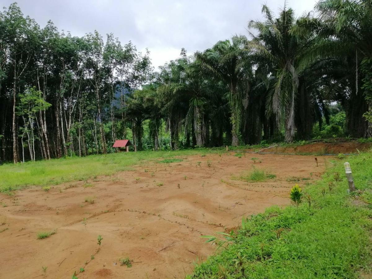 เขาสก เอเวอร์กรีน เฮ้าส์ Hotel Khao Sok National Park ภายนอก รูปภาพ