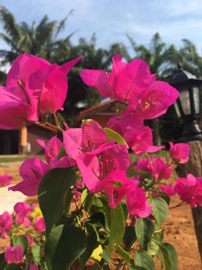 เขาสก เอเวอร์กรีน เฮ้าส์ Hotel Khao Sok National Park ภายนอก รูปภาพ