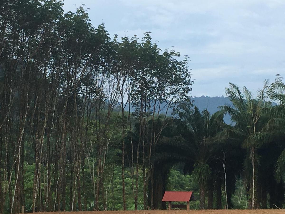 เขาสก เอเวอร์กรีน เฮ้าส์ Hotel Khao Sok National Park ภายนอก รูปภาพ