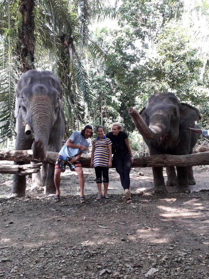 เขาสก เอเวอร์กรีน เฮ้าส์ Hotel Khao Sok National Park ภายนอก รูปภาพ