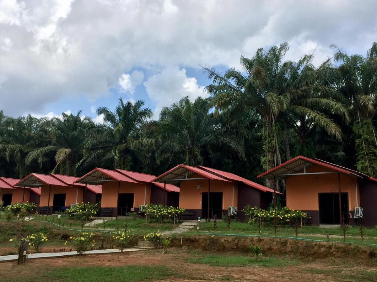 เขาสก เอเวอร์กรีน เฮ้าส์ Hotel Khao Sok National Park ภายนอก รูปภาพ