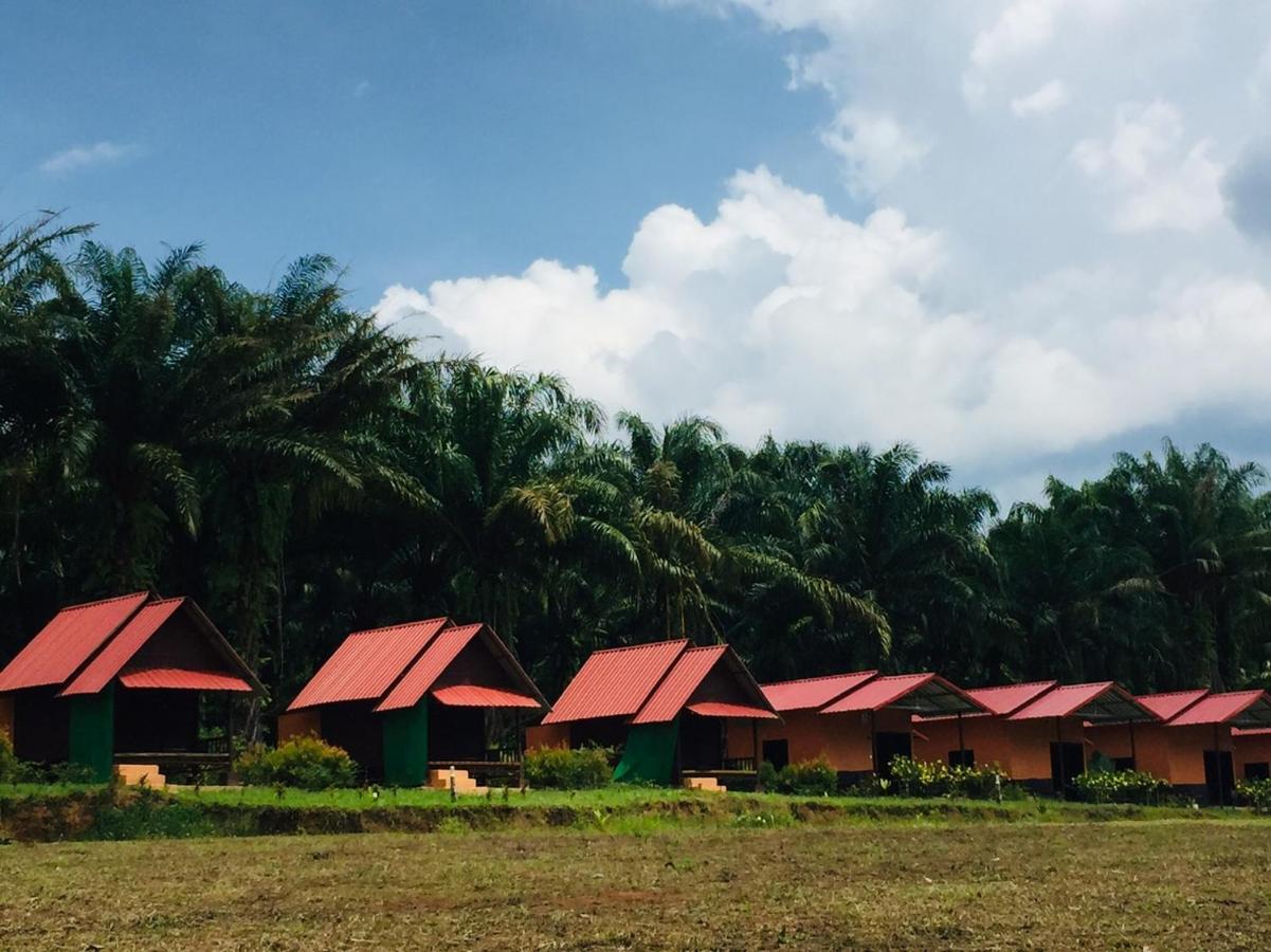 เขาสก เอเวอร์กรีน เฮ้าส์ Hotel Khao Sok National Park ภายนอก รูปภาพ