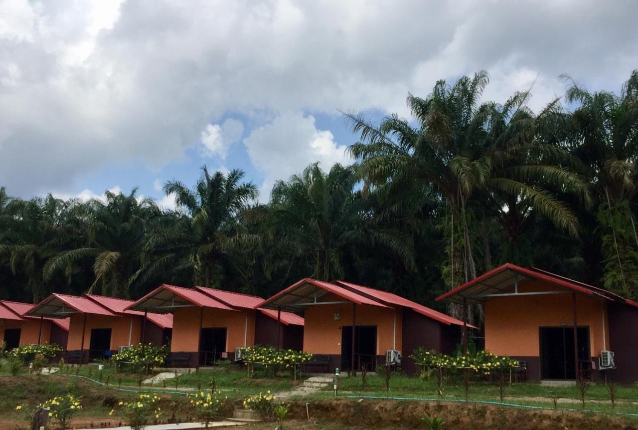 เขาสก เอเวอร์กรีน เฮ้าส์ Hotel Khao Sok National Park ภายนอก รูปภาพ