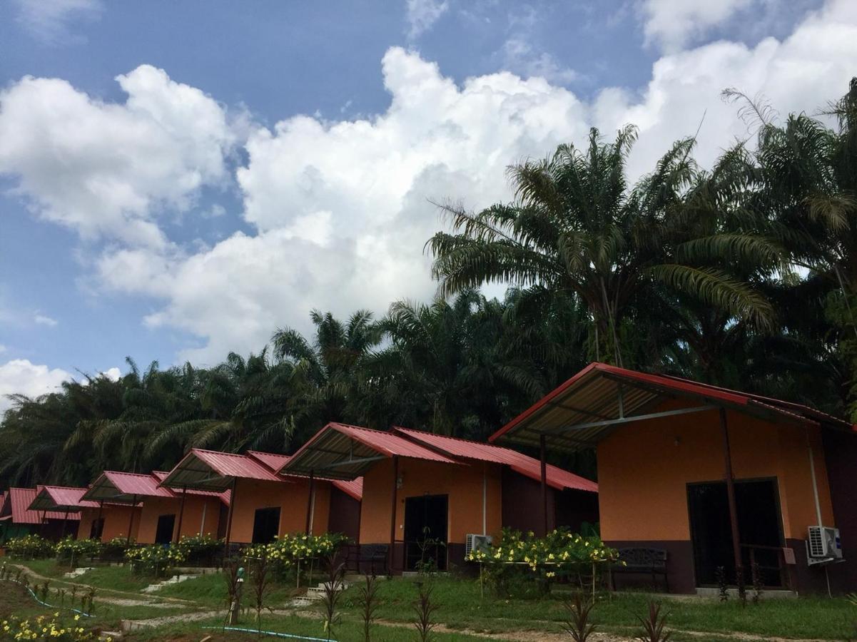 เขาสก เอเวอร์กรีน เฮ้าส์ Hotel Khao Sok National Park ภายนอก รูปภาพ